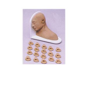 How effective is the application of ear examination model in medical education?